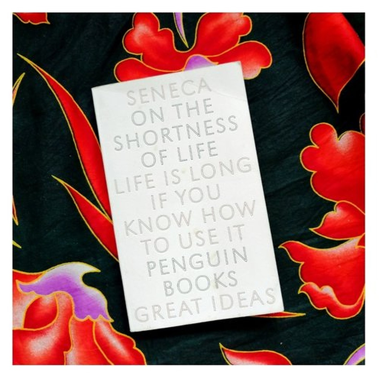 cover art for 46. Thinking Space Book Club - On the Shortness of Life