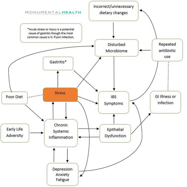 cover art for 5. Understanding IBS