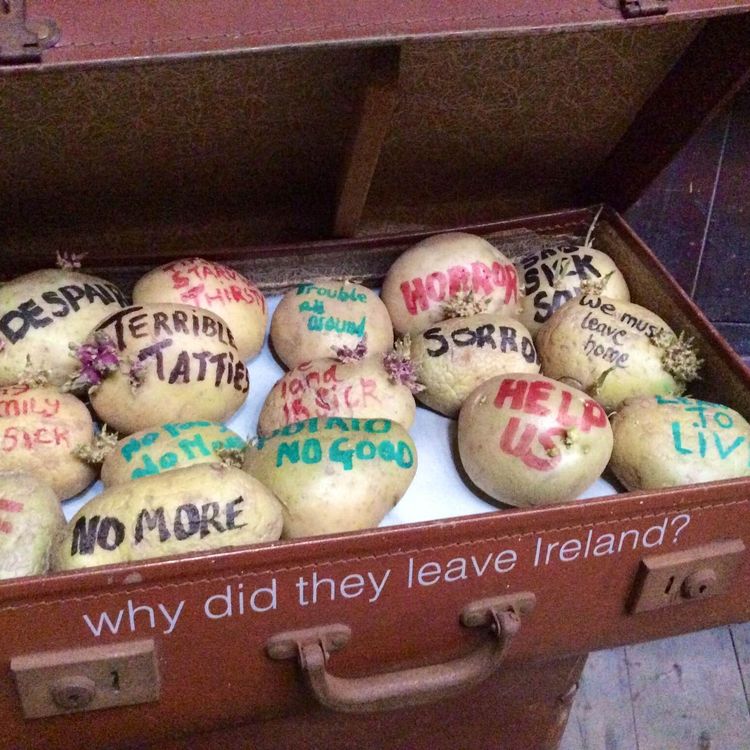 cover art for London Immigration