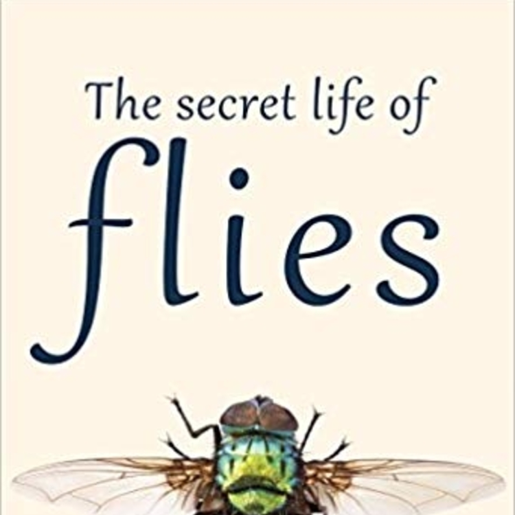 cover art for Episode 35: Busting Myths about Flies