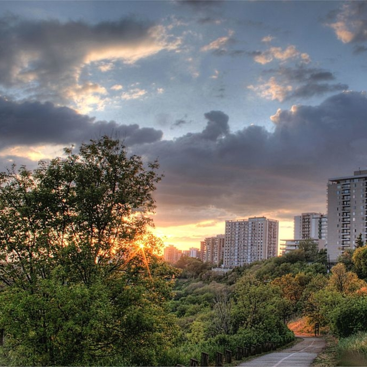 cover art for Episode 17: What can be done by urban planners to disrupt infection of people with Lyme disease?