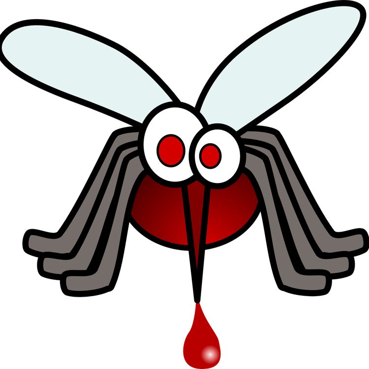 cover art for Episode 12: Kids show - Why do mosquitoes need blood for their babies?