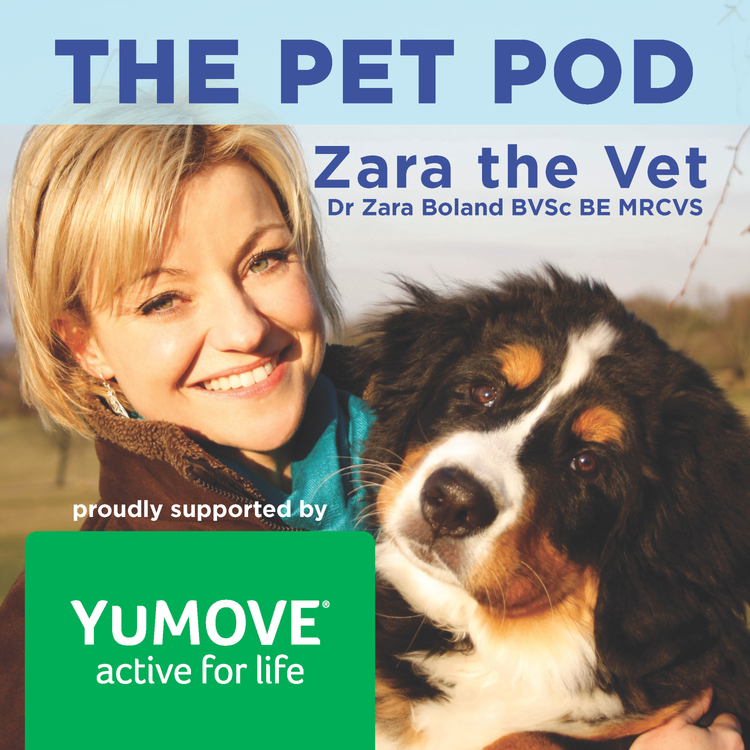 cover art for Weight Management for Cats and Dogs - how to help your pet stay healthy