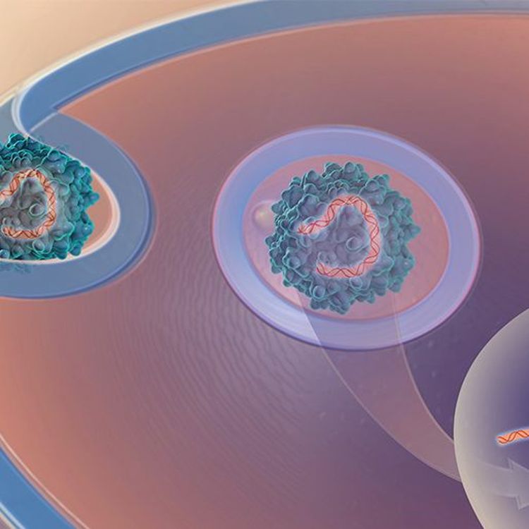 cover art for Navigating the Regulatory Terrain during Cell & Gene Therapy Production