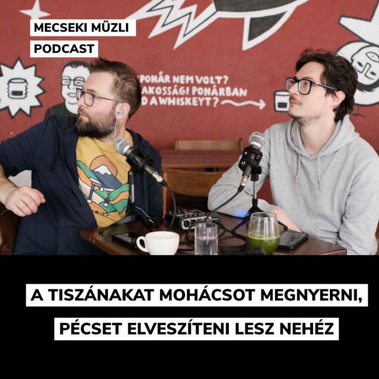 cover art for A Tiszának Mohácsot megnyerni, Pécset elveszteni lesz nehéz 
