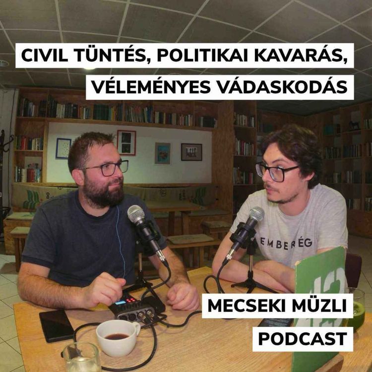 cover art for Civil tüntés, politikai kavarás, véleményes vádaskodás
