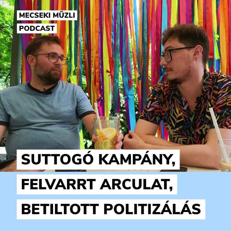 cover art for Suttogó kampány, felvarrt arculat, betiltott politizálás