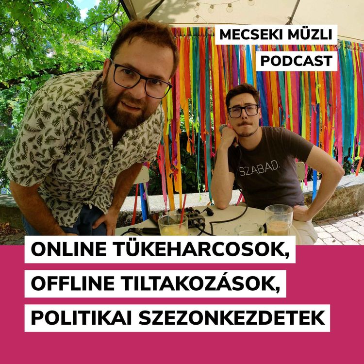 cover art for Online tükeharcosok, offline tiltakozások, politikai szezonkezdetek