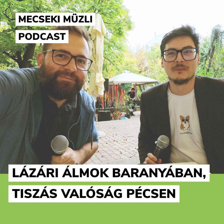 cover art for Lázári álmok Baranyában, tiszás valóság Pécsen