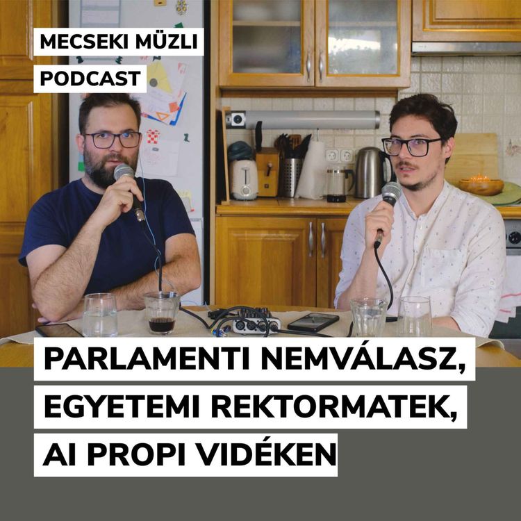 cover art for Parlamenti nemválasz, egyetemi rektormatek, AI propi vidéken