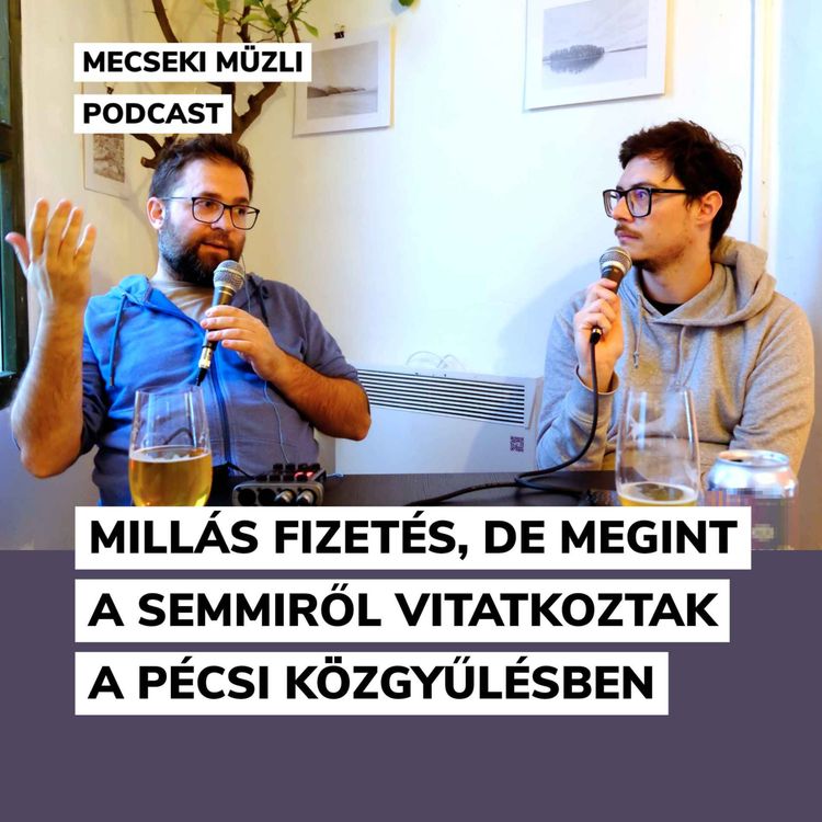cover art for Millás fizetés, de megint a semmiről vitatkoztak a pécsi közgyűlésben