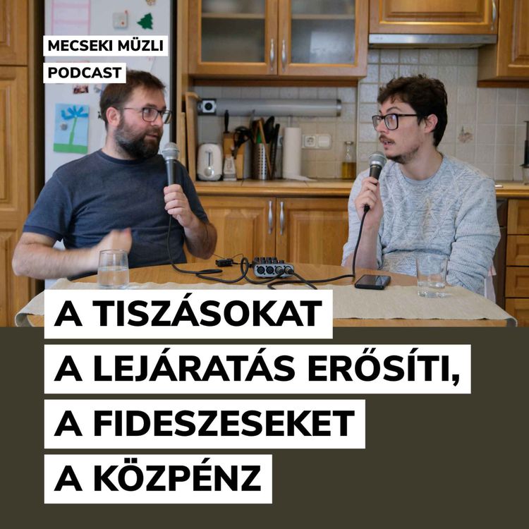 cover art for A tiszásokat a lejáratás erősíti, a fideszeseket a közpénz