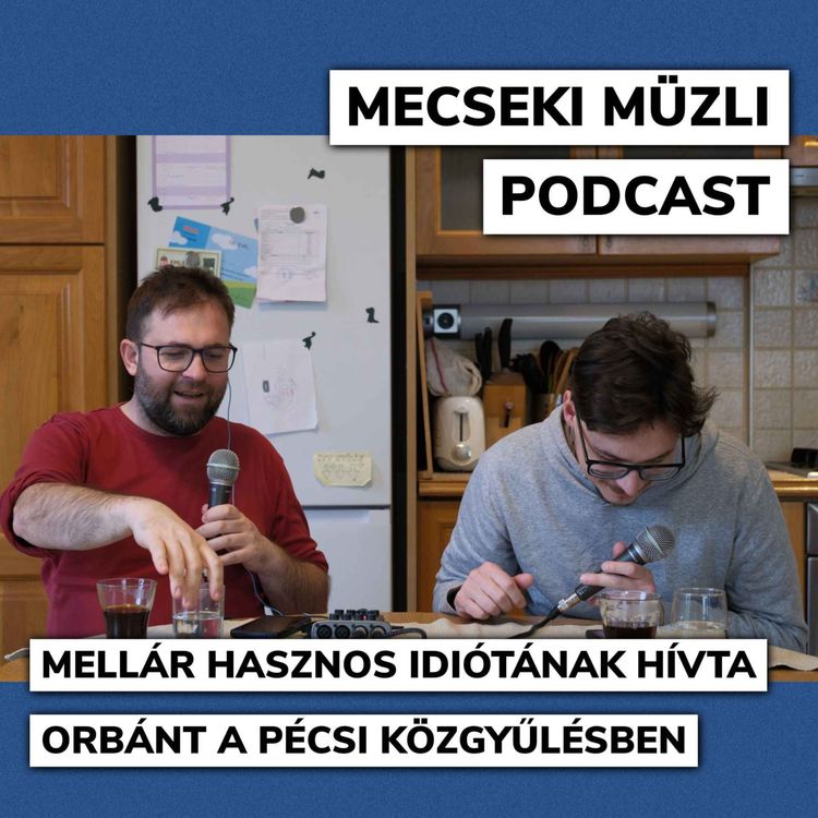 cover art for A választásra ráfordulva Mellár hasznos idiótának hívta Orbánt a pécsi közgyűlésben