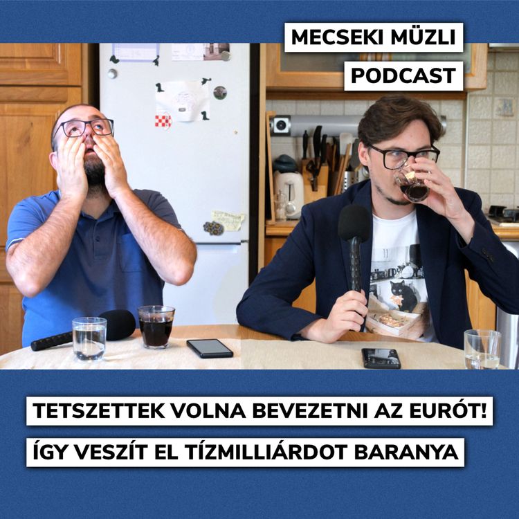 cover art for Tetszettek volna bevezetni az eurót! Így veszít el tízmilliárdot Baranya