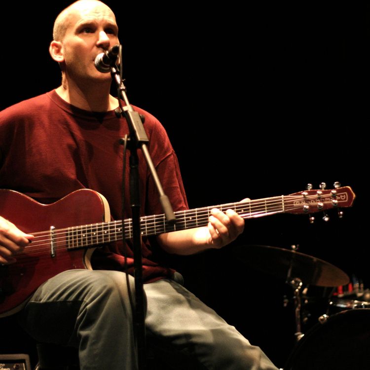 cover art for 29 - Ian MacKaye