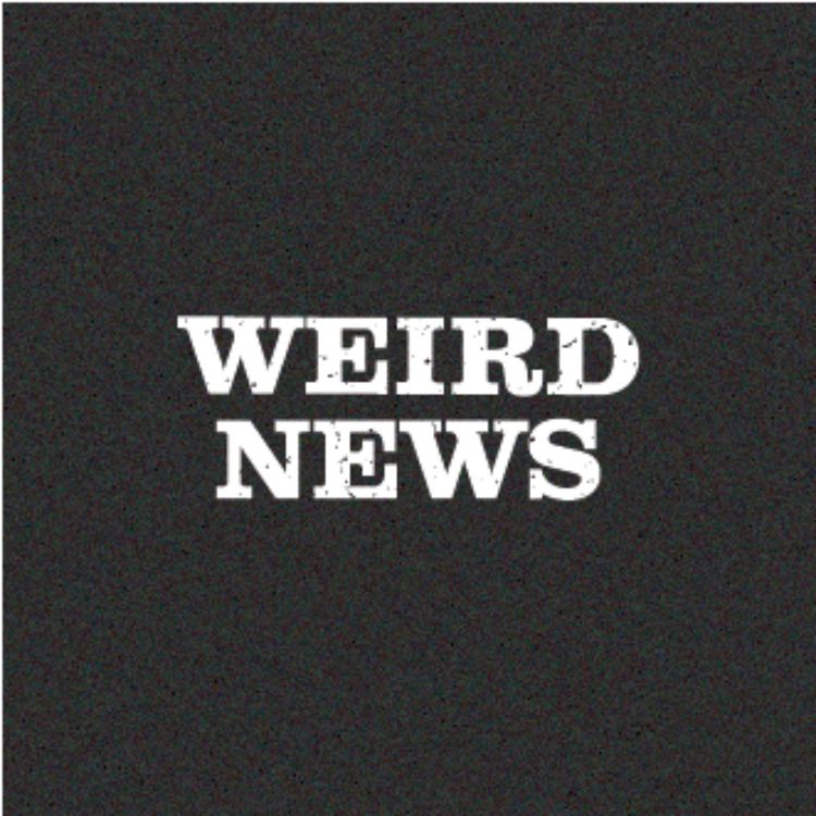 cover art for #102 - Weird News: Driftwood? & Others