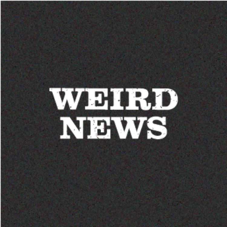 cover art for #23 - Weird News: Bob Marley, Gravitational Waves & Others