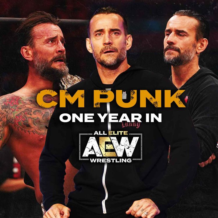 cover art for CM Punk In AEW | Year One In Review