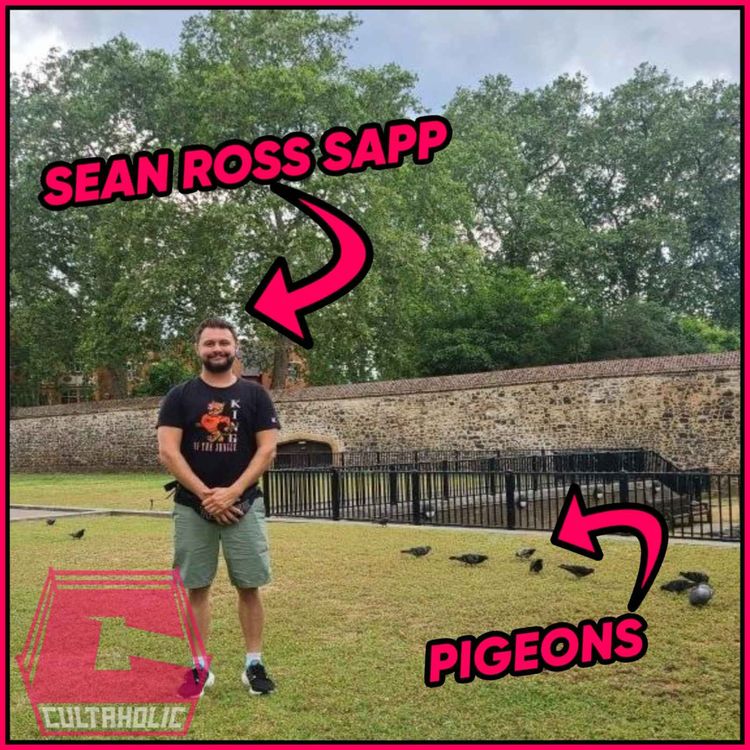 cover art for Fightful's Sean Ross Sapp Talks About ANYTHING But WWE MONEY IN THE BANK with Tom Campbell 