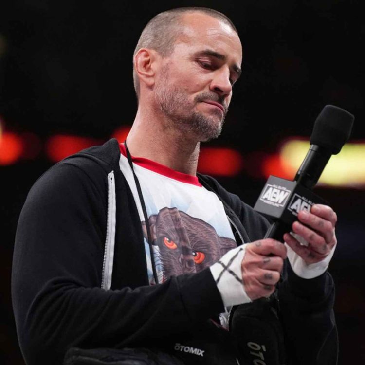 cover art for BREAKING: AEW Fires CM Punk