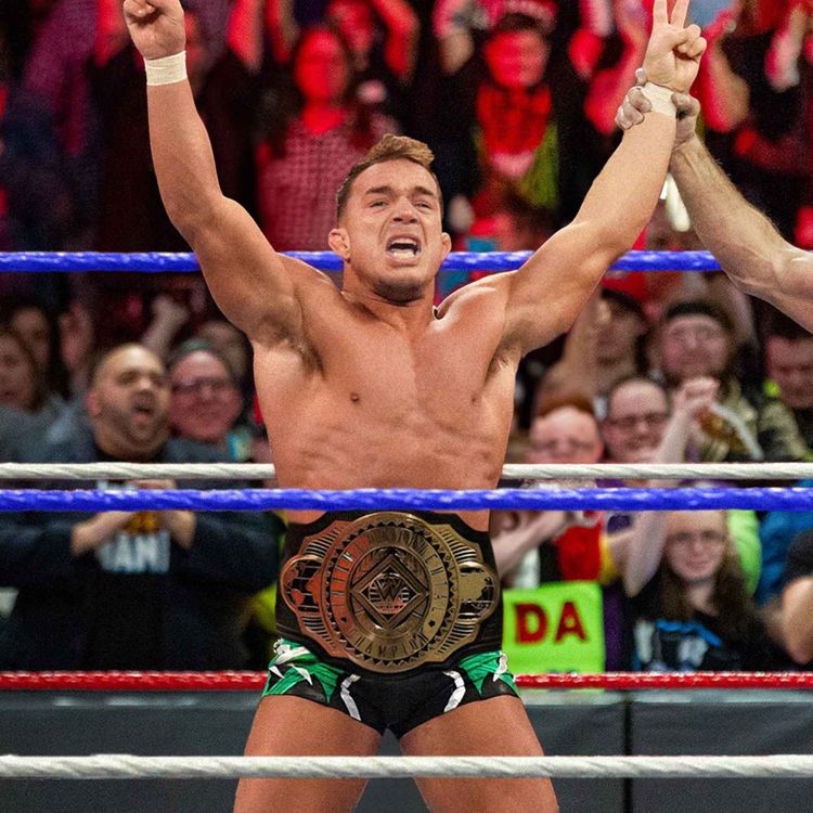 cover art for 9 Pitches For WWE Backlash France 2024