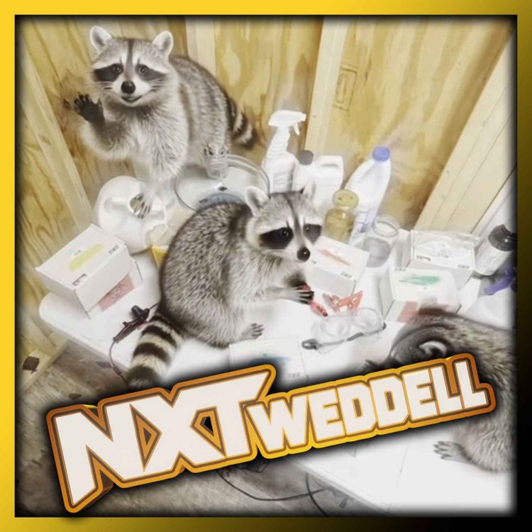 cover art for NXTweddell #6: NXT September 15, 2026 FULL Review - SHILOH HILL'S TALKING RACCOONS
