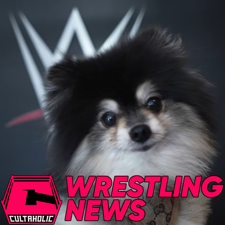 cover art for Former WWE Champion Retires | Andrade Wants To Return To WWE? | Former IMPACT Star Making NXT Debut | WRESTLING NEWS