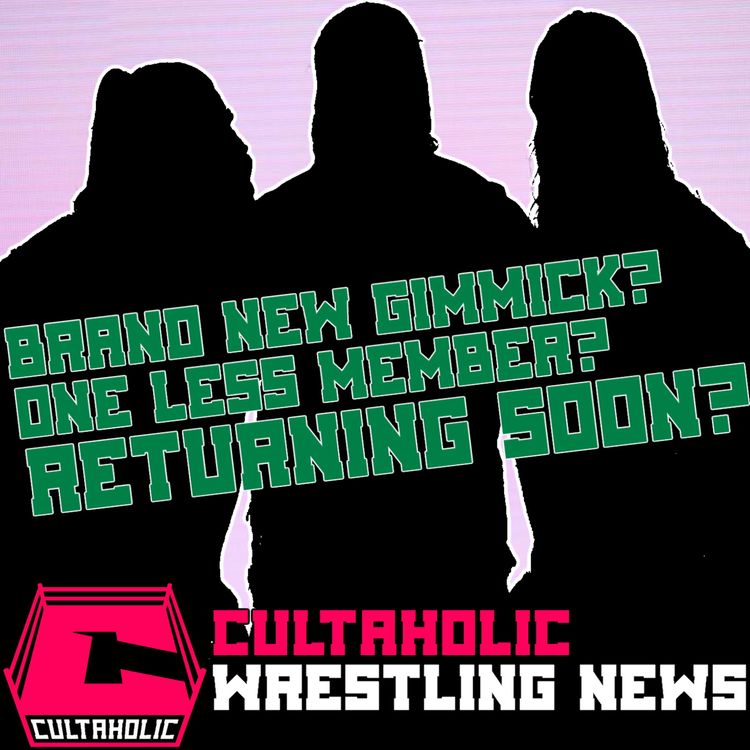 cover art for NEWS: Controversial WWE Team Returning? | Melina Comments On Comeback Rumours | 21/09/20