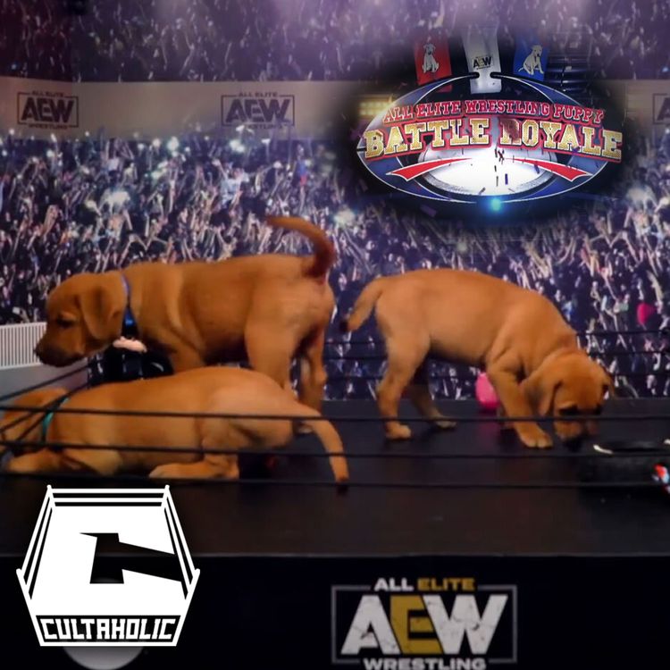 cover art for Cultaholic Wrestling Podcast #130: Which Dog Breed Will Win The AEW Puppy Battle Royale?