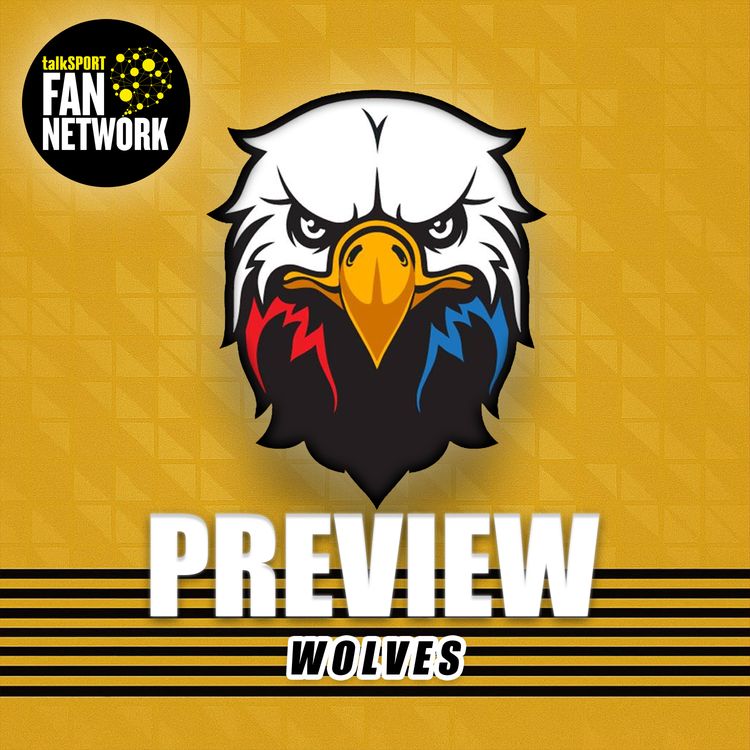 cover art for Preview: Crystal Palace v Wolves