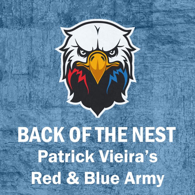 cover art for Patrick Vieira's Red & Blue Army