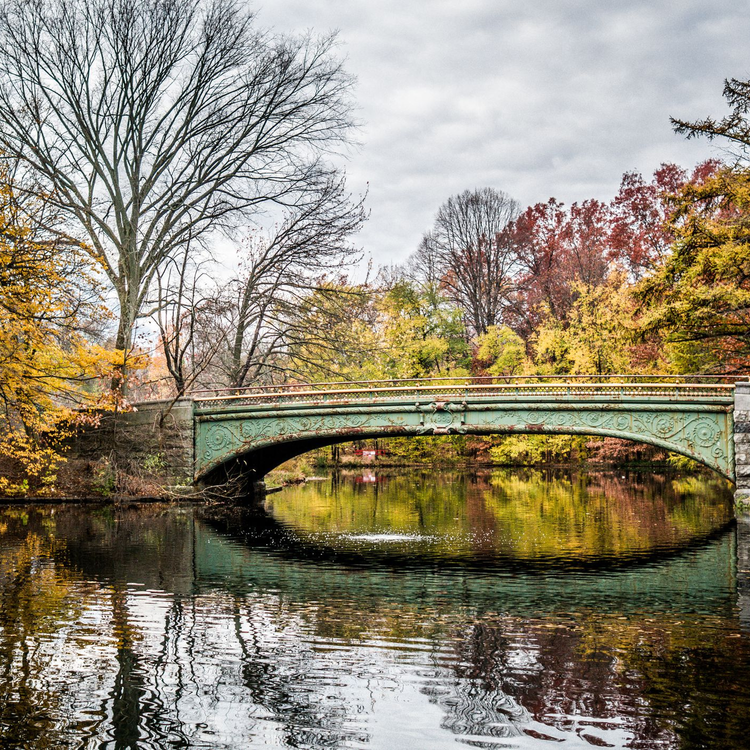 cover art for MC-10 2 Degrees West - Michael Pearmain - Ken McDonald at Prospect Park.