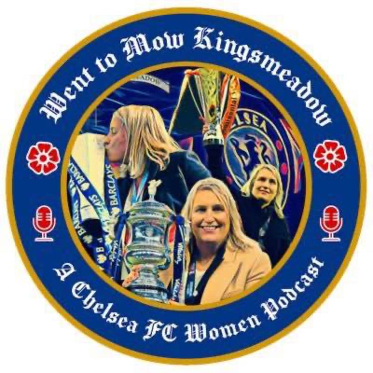 cover art for 'It's Not Fucking Over' Went To Mow Kingsmeadow #135