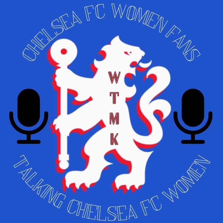cover art for Went To Mow Kingsmeadow #172 'Soaring Into The Semi's'