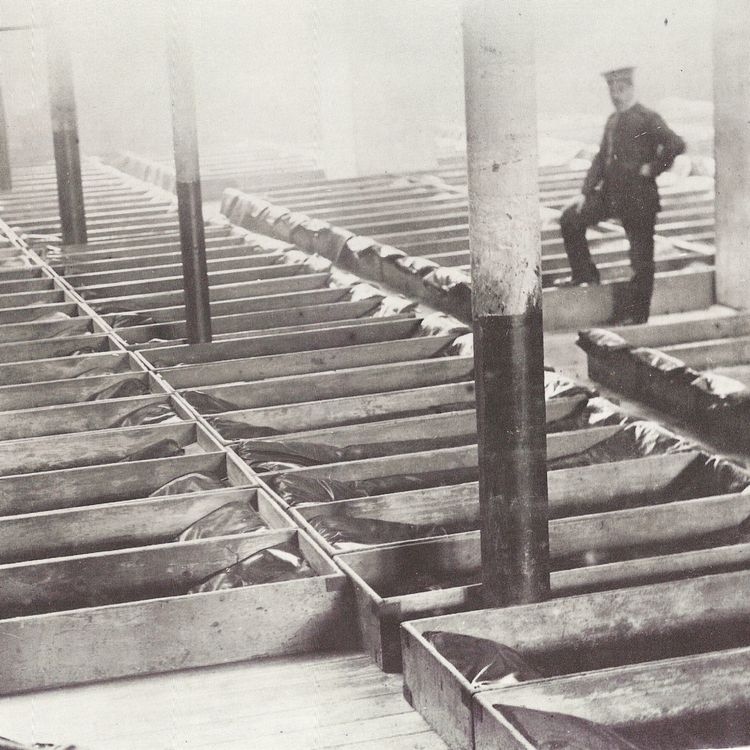 cover art for (Hopefully) Better than Lodging at the Twopenny Hangover