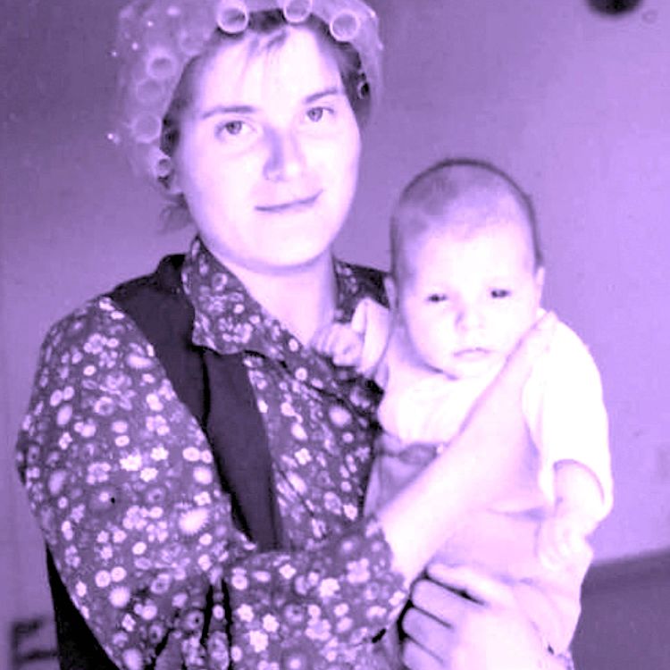 cover art for De polska judarnas flykt till Sverige