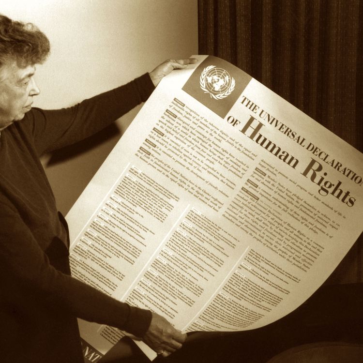 cover art for De universella mänskliga rättigheterna: Att formulera människans godhet