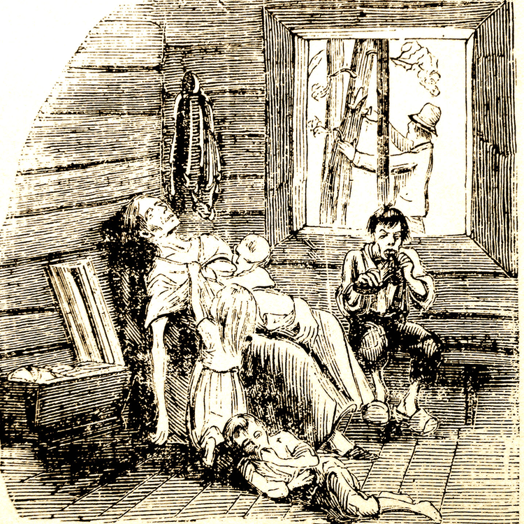 cover art for Vårt förakt för svaghet: Den hemska svälten i Sverige på 1860-talet