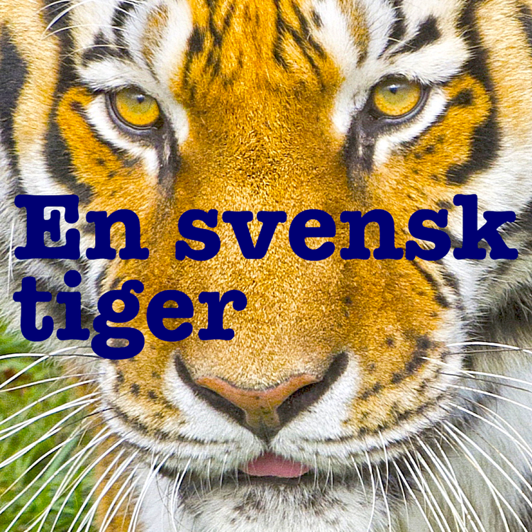 cover art for Den ökända hästen från Troja: Yttrandefrihetens hjältar i Sverige under andra världskriget