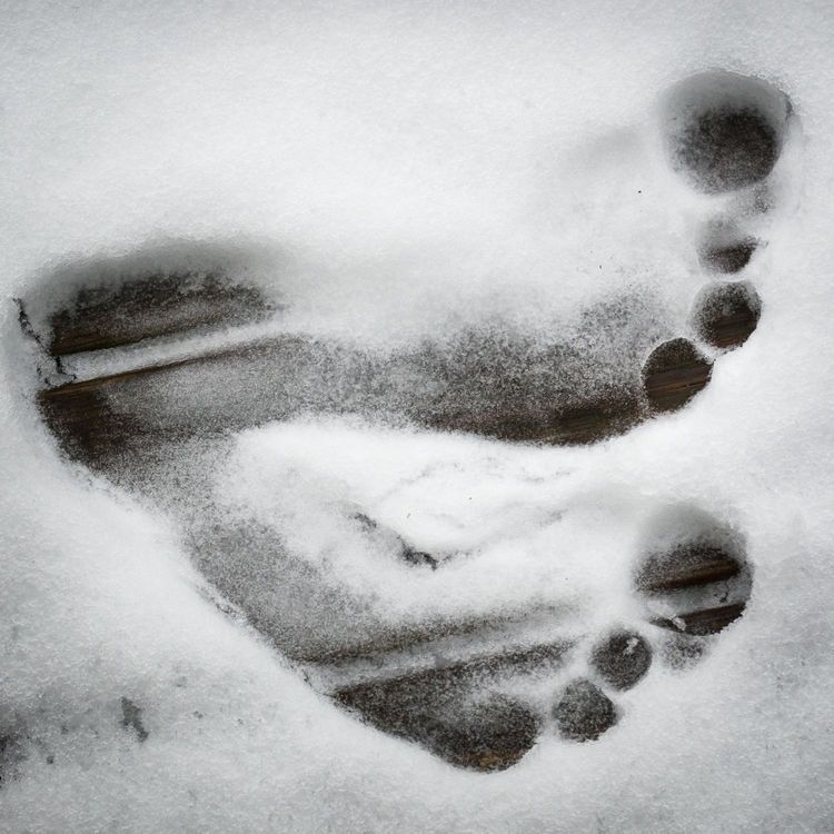 cover art for Clearwater, Florida