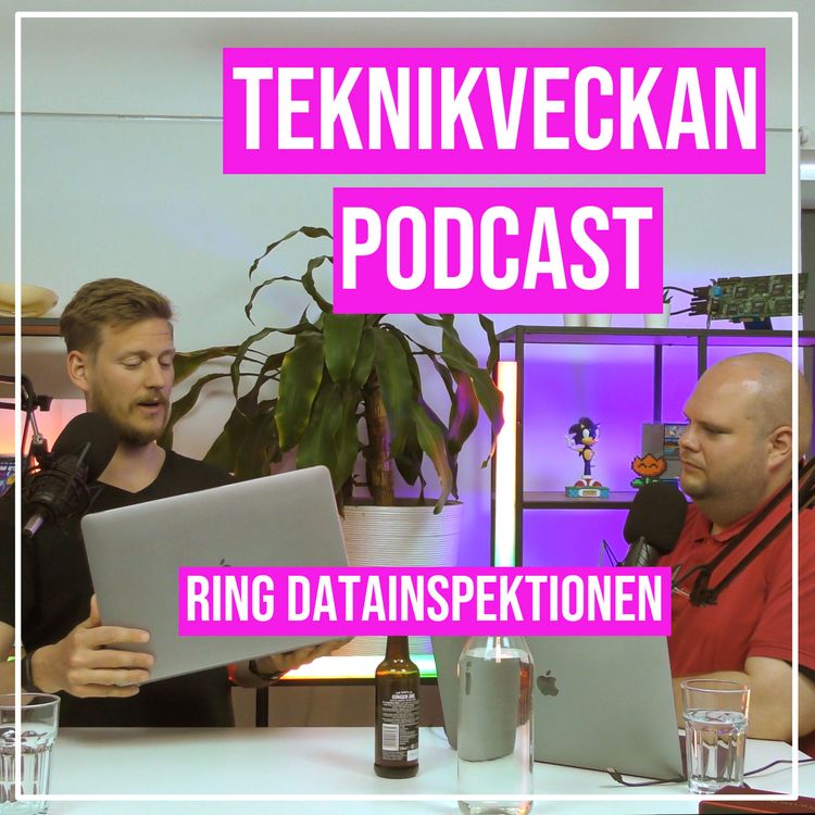 cover art for Ring Datainspektionen