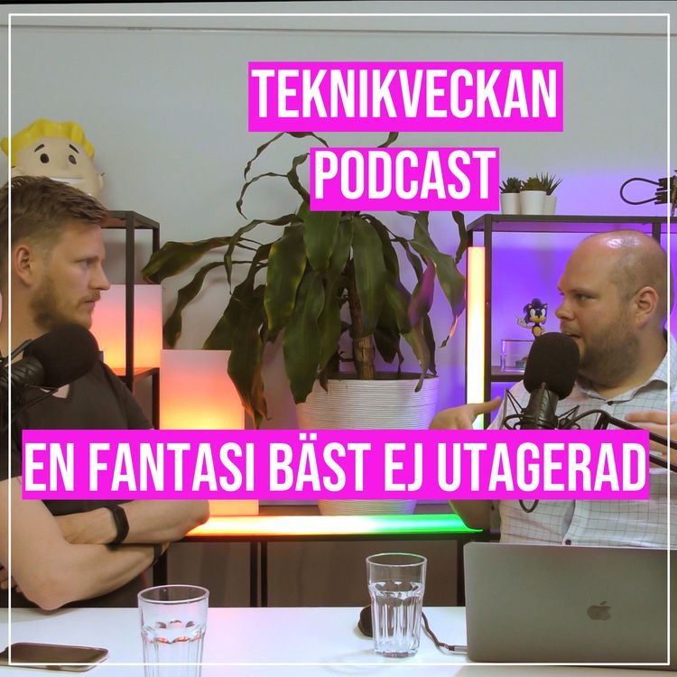 cover art for En fantasi bäst ej utagerad