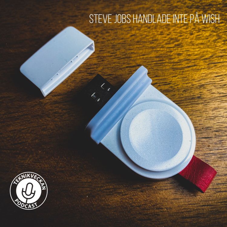 cover art for Steve Jobs handlade inte på Wish