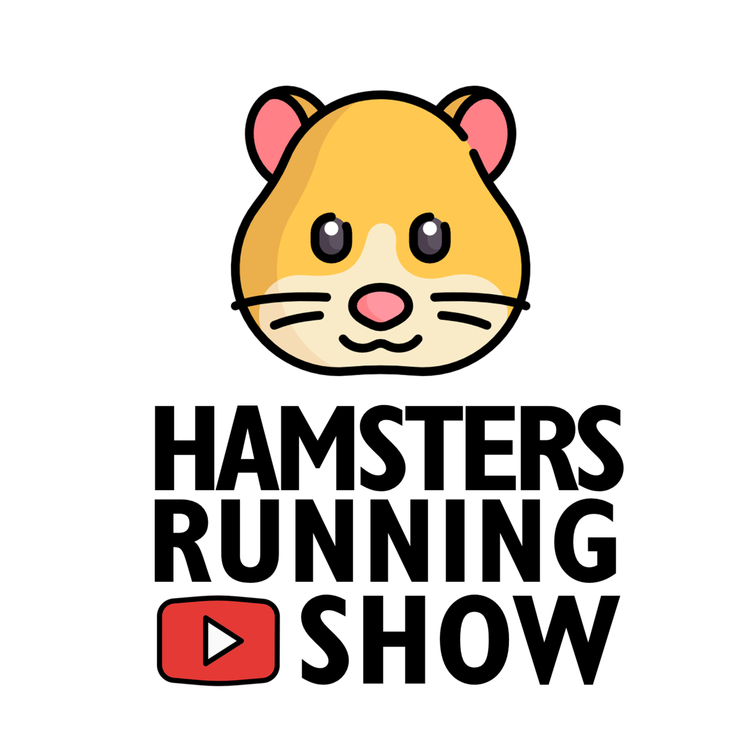 cover art for Docteur Denis Boucher : grossitude et habitudes - Replay Live Hamsters Running Show