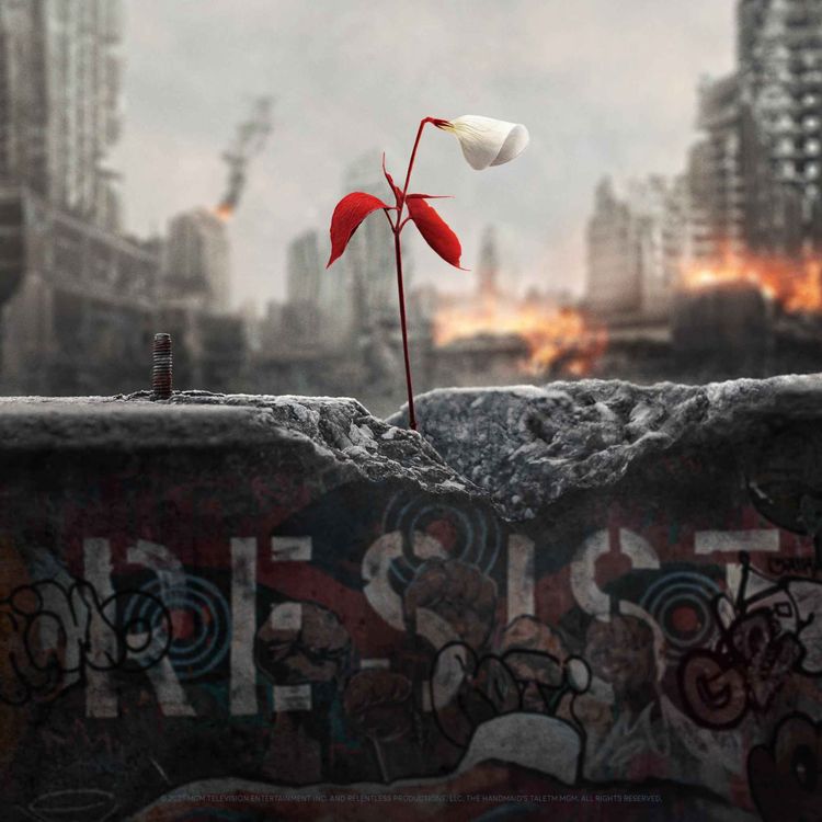 cover art for The Handmaid’s Tale 4x01: Schweine