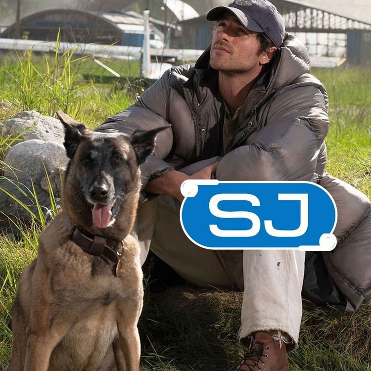 cover art for SJ Weekly: Warum sind jetzt alle auf den Hund gekommen?
