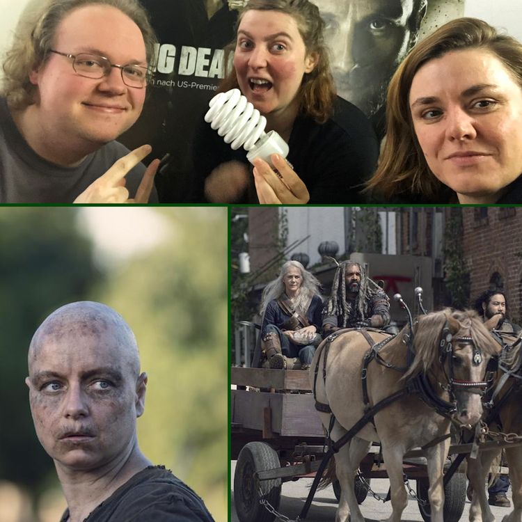 cover art for The Walking Dead 9x11 - Bounty