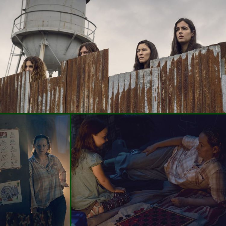 cover art for The Walking Dead 9x10 - Omega