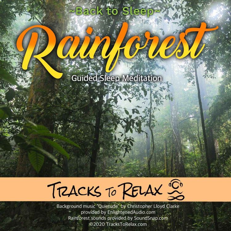 cover art for RAINFOREST - Guided Sleep Meditation