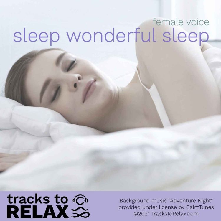 cover art for Sleep Wonderful Sleep - Female Voice Sleep Meditation